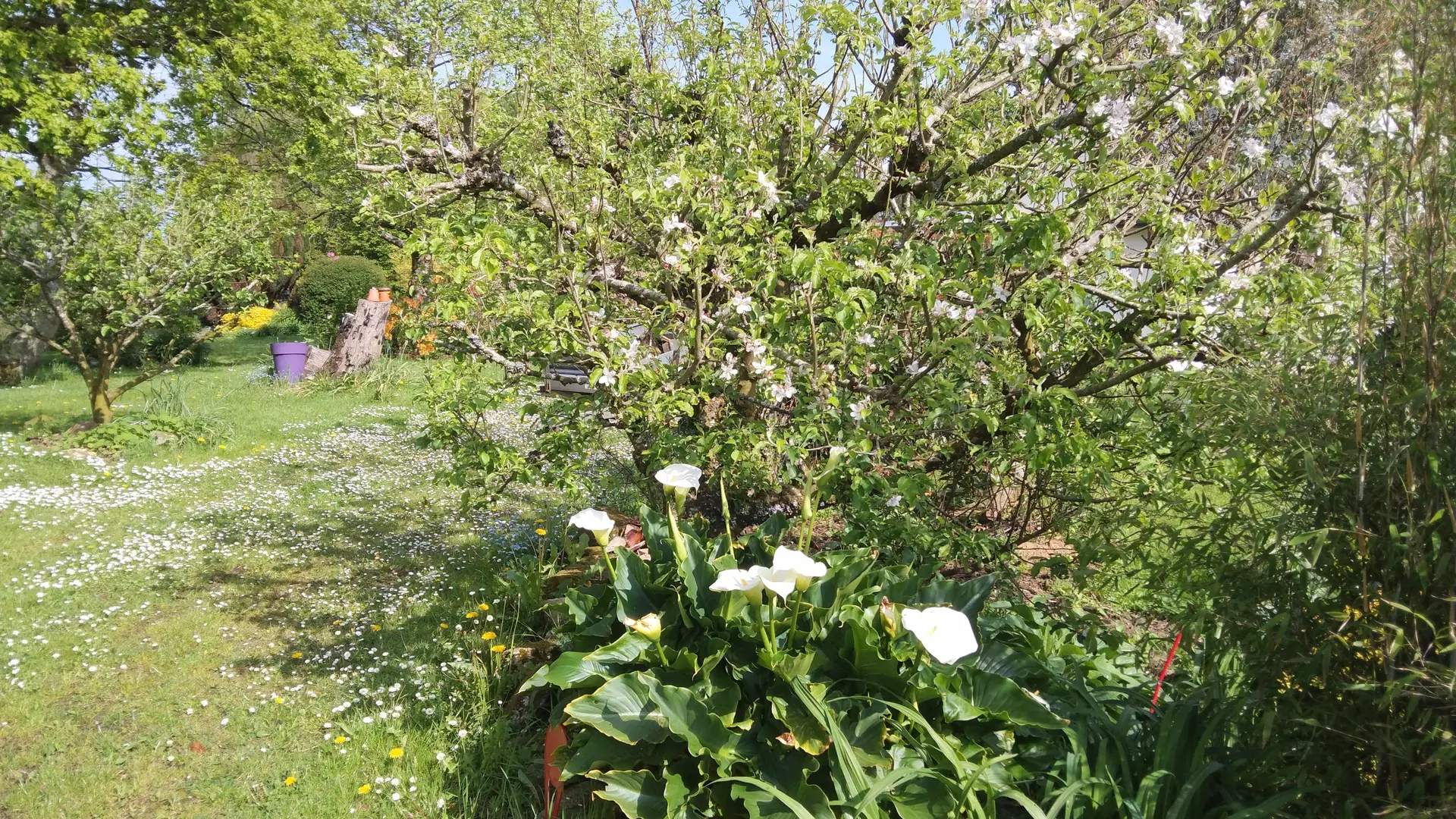 Chambre d'hôtes - Laouenan - Guiler sur Goyen - Pays Bigouden - Bigoudenjoy