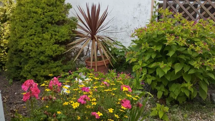 BARGAIN Mireille - Plobannalec-Lesconil- Pays bigouden