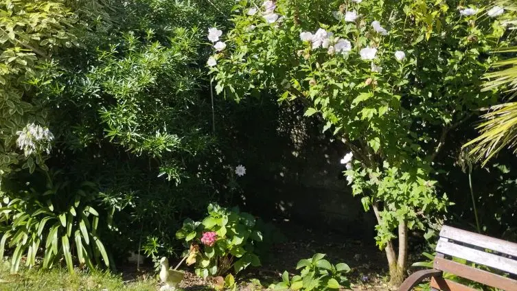 BARGAIN Mireille - Plobannalec-Lesconil- Pays bigouden