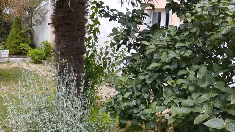 BARGAIN Mireille - Plobannalec-Lesconil- Pays bigouden