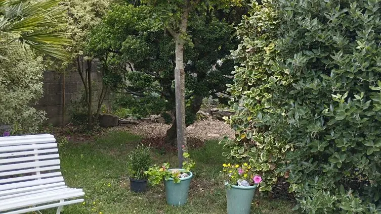 BARGAIN Mireille - Plobannalec-Lesconil- Pays bigouden