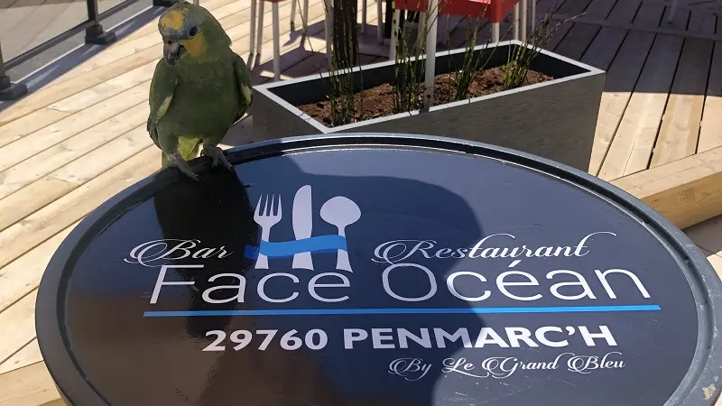 Restaurant Face Océan - Penmarc'h - Pays Bigouden- Bigoudenjoy