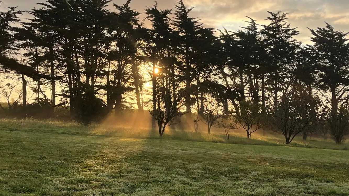 Une chambre à Lestrigiou - Plomeur - Pays bigouden