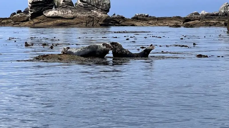 Centre nautique du Guilvinec - Pays-Bigouden - Bigoudenjoy