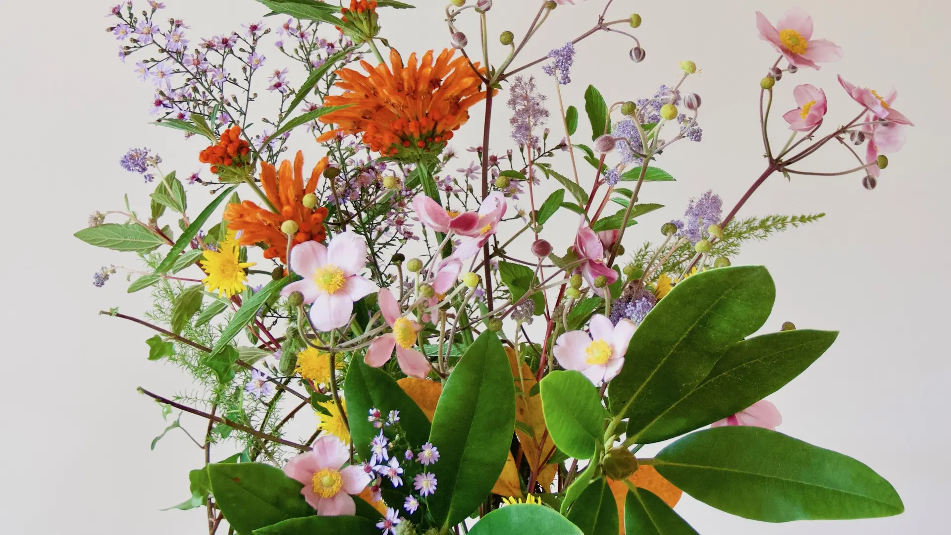 Bouquet