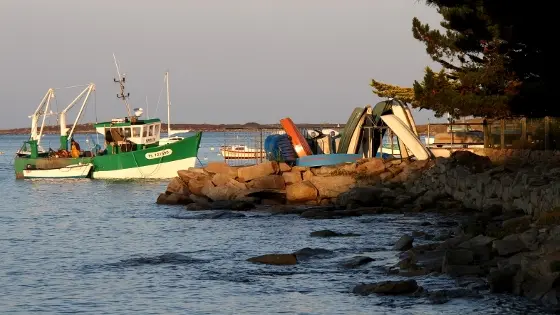 Ile Grande, Pleumeur-Bodou (17)