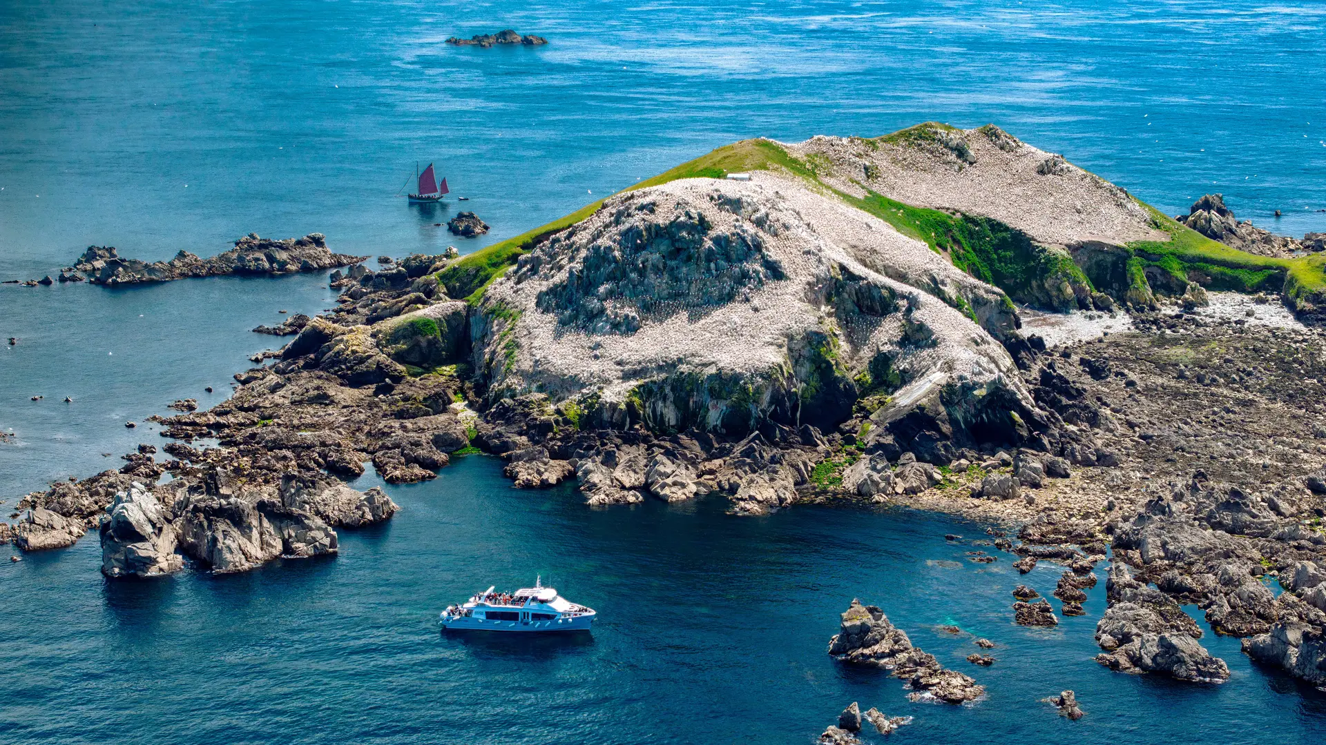 Ile Rouzic - Chim'air (2)