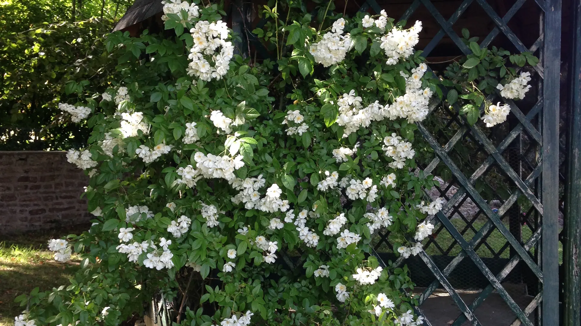 Location La Maison de papa - le jardin