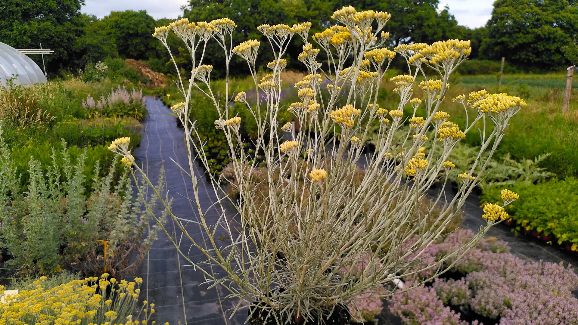 Jardin Bout du monde
