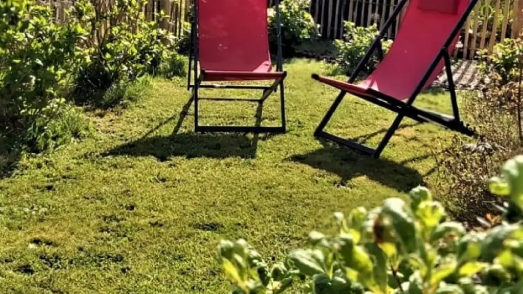 Jardin côté terrasse