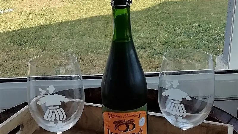 Location Ty Bor An Aod - Plozevet  - Pays Bigouden