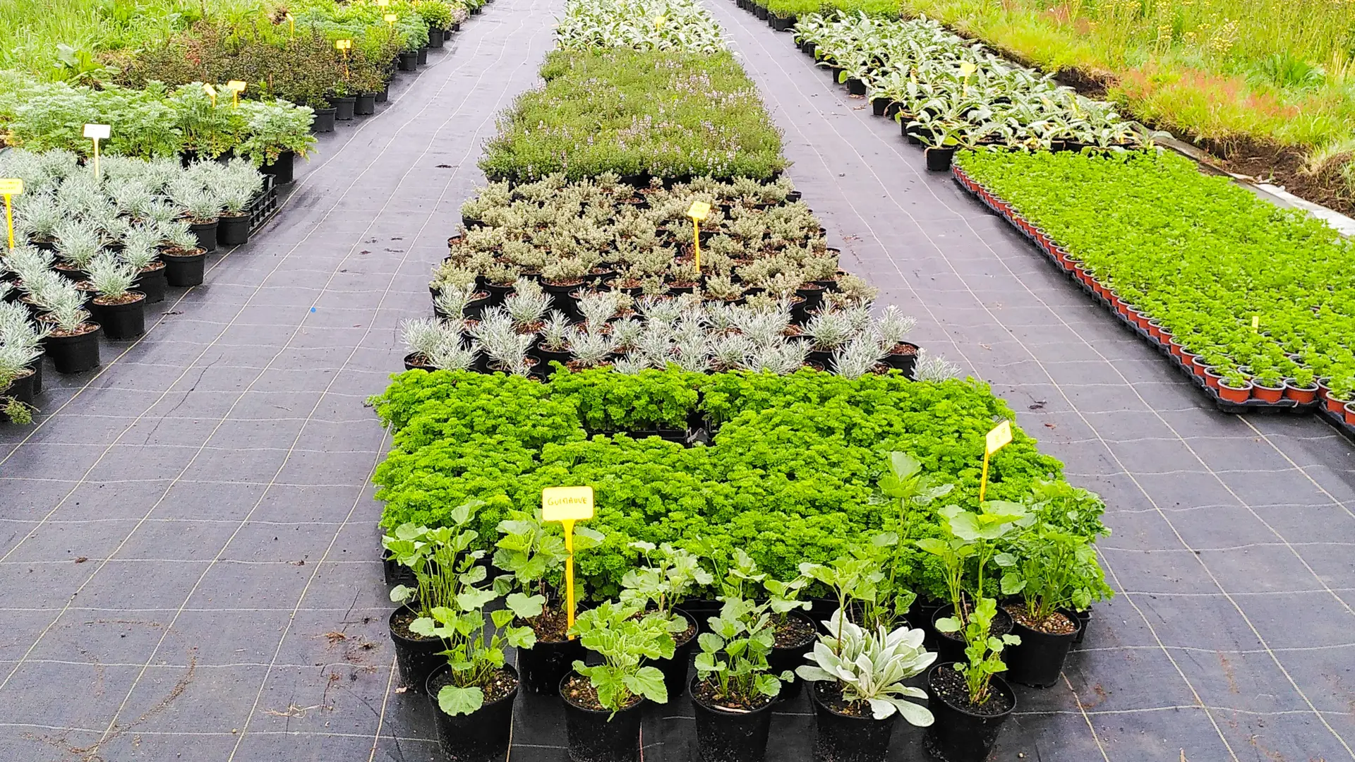 Jardin bout du monde