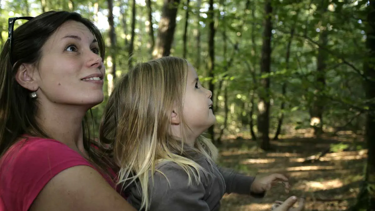 Photo de balade en famille en forêt