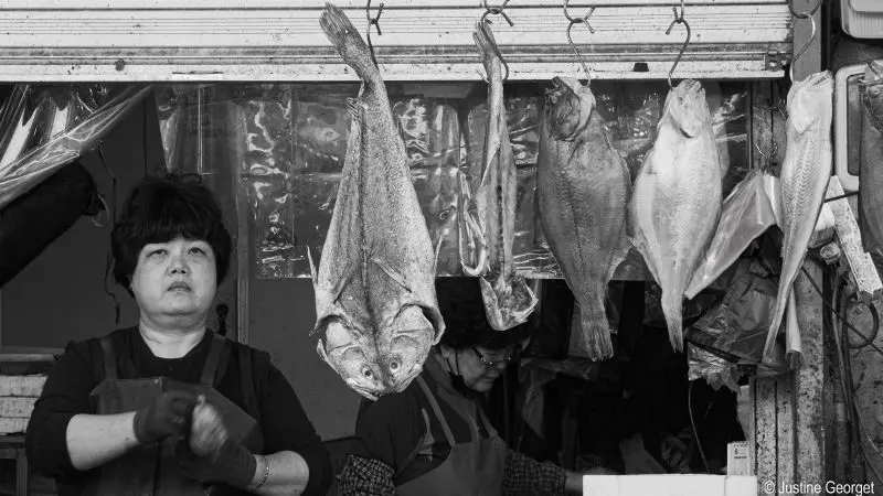 Festival Photo du Guilvinec - La mer en partage - Pays Bigouden  -  Bigoudenjoy