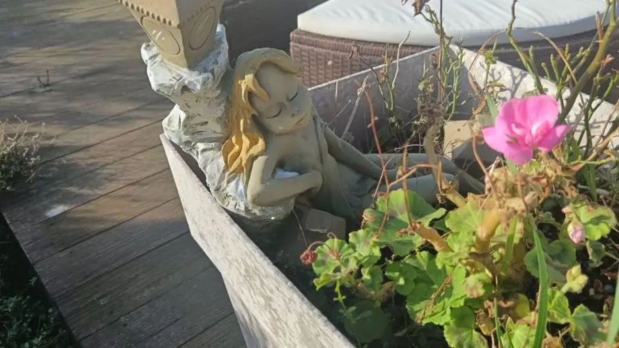 Location la Korrigane - Pouldreuzic - Pays Bigouden