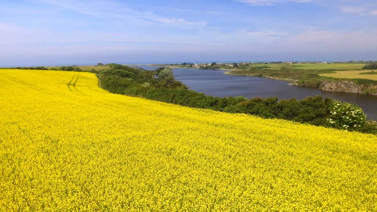 Circuit Etang de Trunvel - Tréguennec - Pays Bigouden