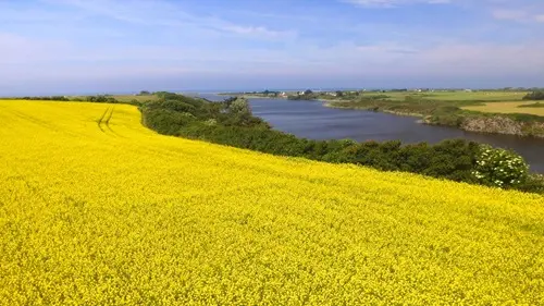 Boucle VTT n° 4 Des étangs - Tréméoc - Pays Bigouden