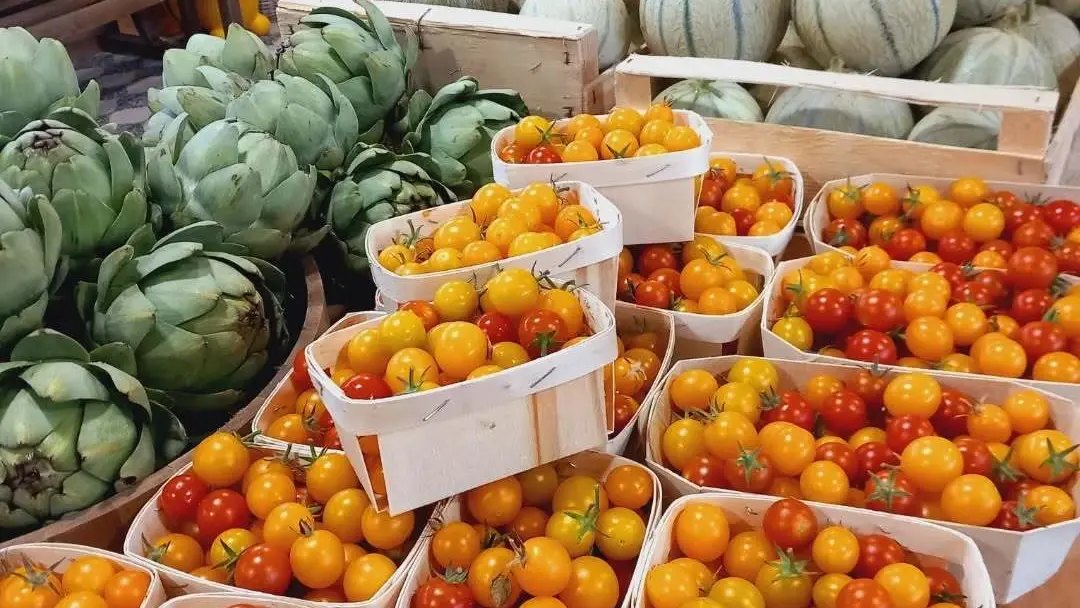 L'été à Dolmen & Potager