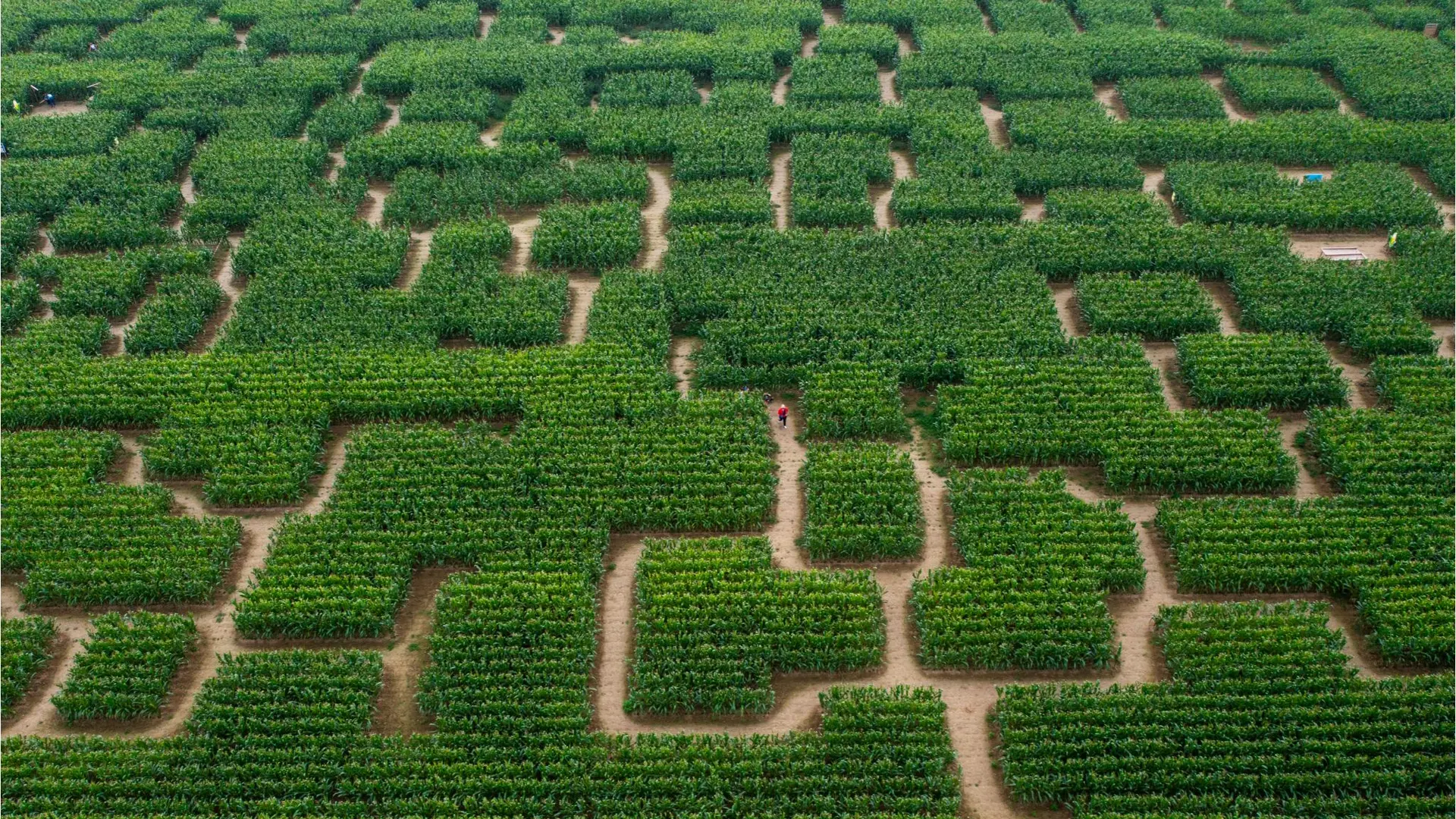 POP CORN LABYRINTHE ST MALO
