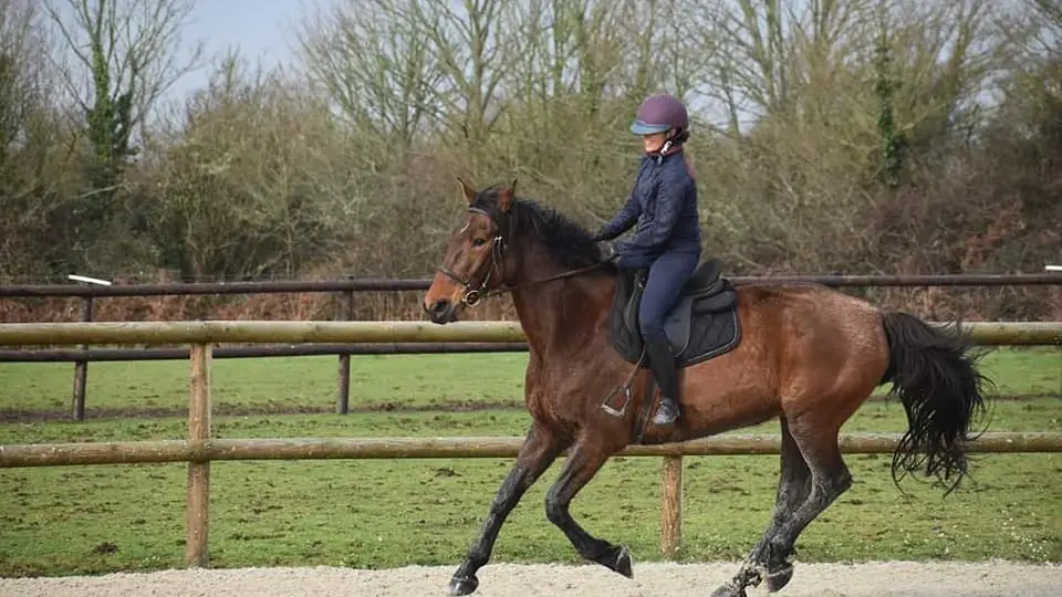 Centre équestre Kervignon - Plobannalec Lesconil - Pays bigouden - Bigoudenjoy