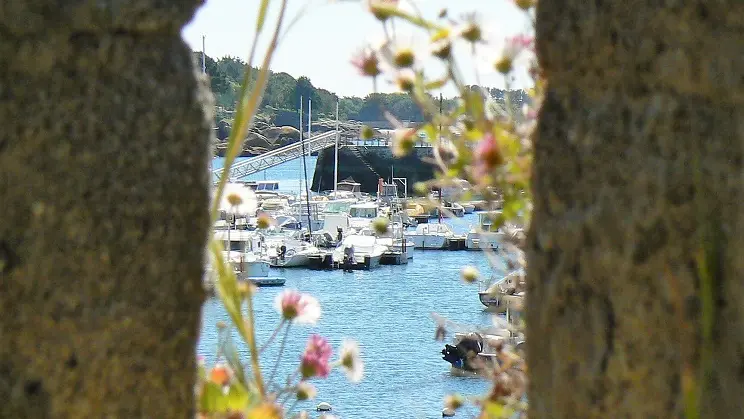 LOI---26-vedettes-odet-ville-close-concarneau