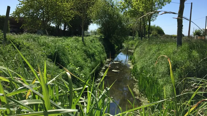 La Banche 2 -©PIT SMBMSM