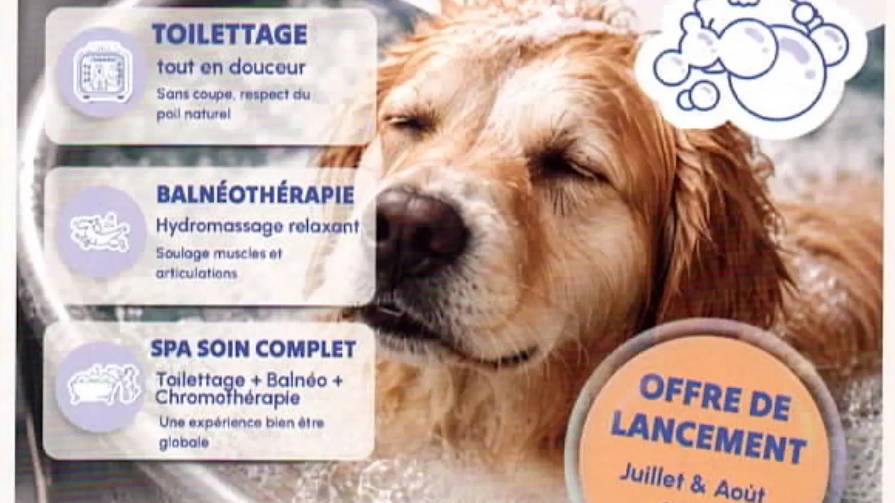 La Colo des Poilus - Loctudy - Pays Bigouden - 8