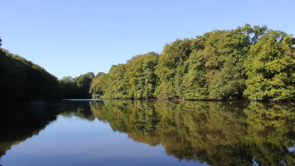 La Higourdais - Epiniac (10)