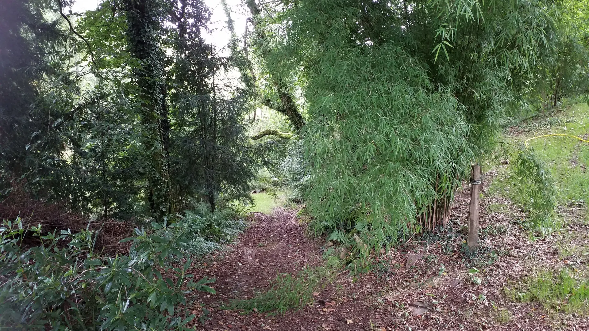 La Vallée des Bambous à Plougonver