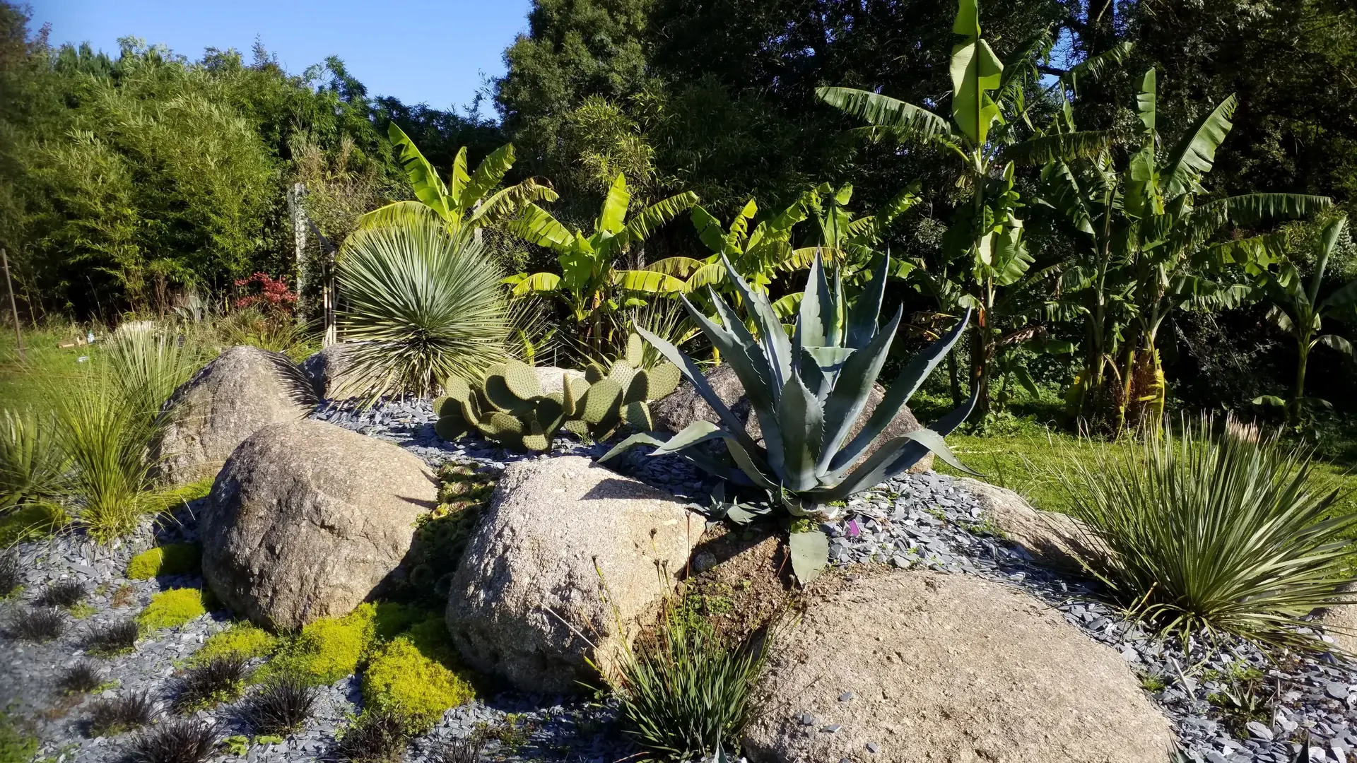 La Vallée des Bambous à Plougonver