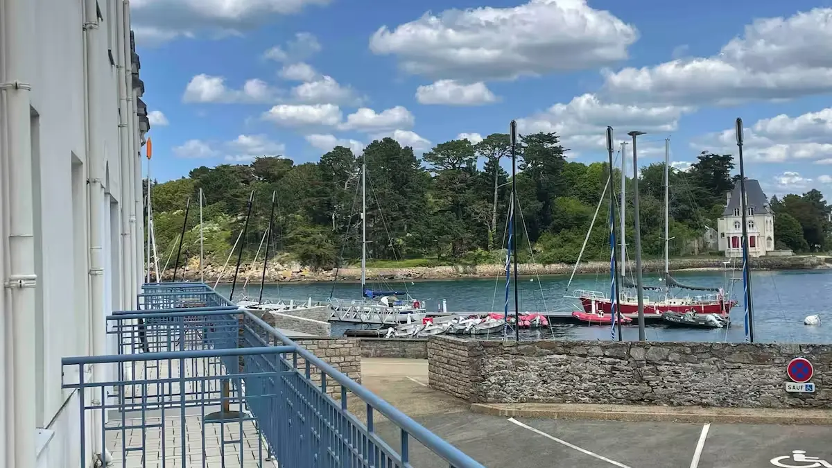 La méduse vue mer (4)