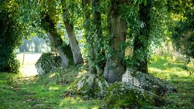 Mégalithes de Lampouy