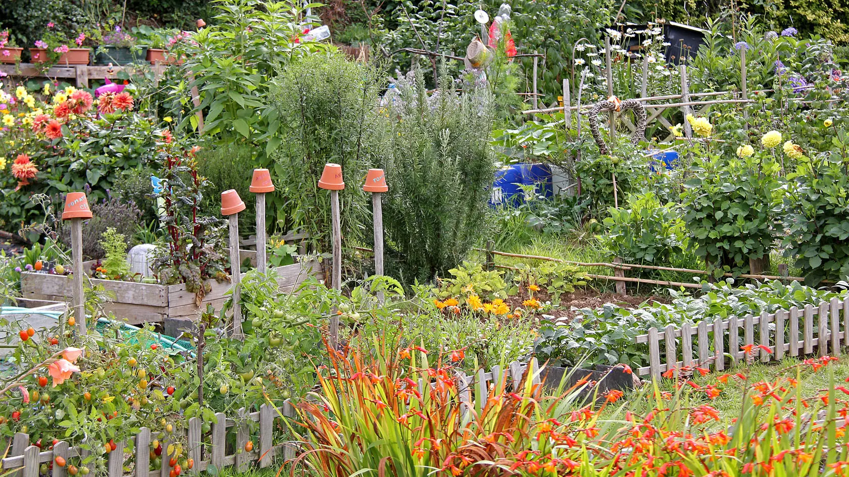 Lannion crédit photo mairie (4)