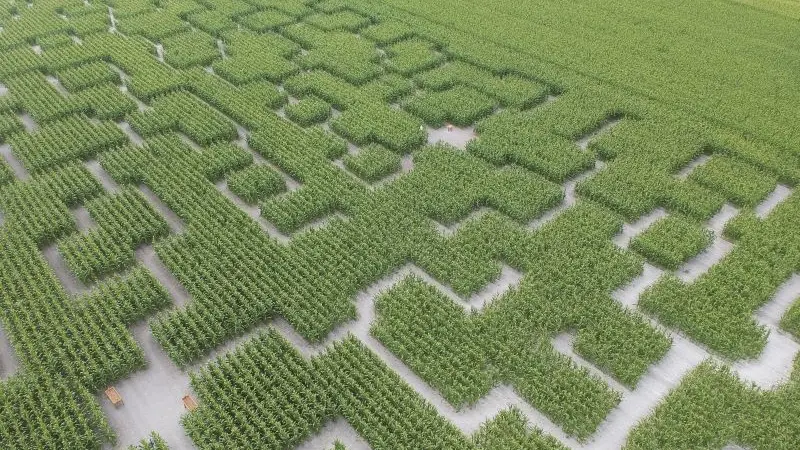 Pop Corn Labyrinthe - Pont-l'Abbé - Pays Bigouden - Bigoudenjoy