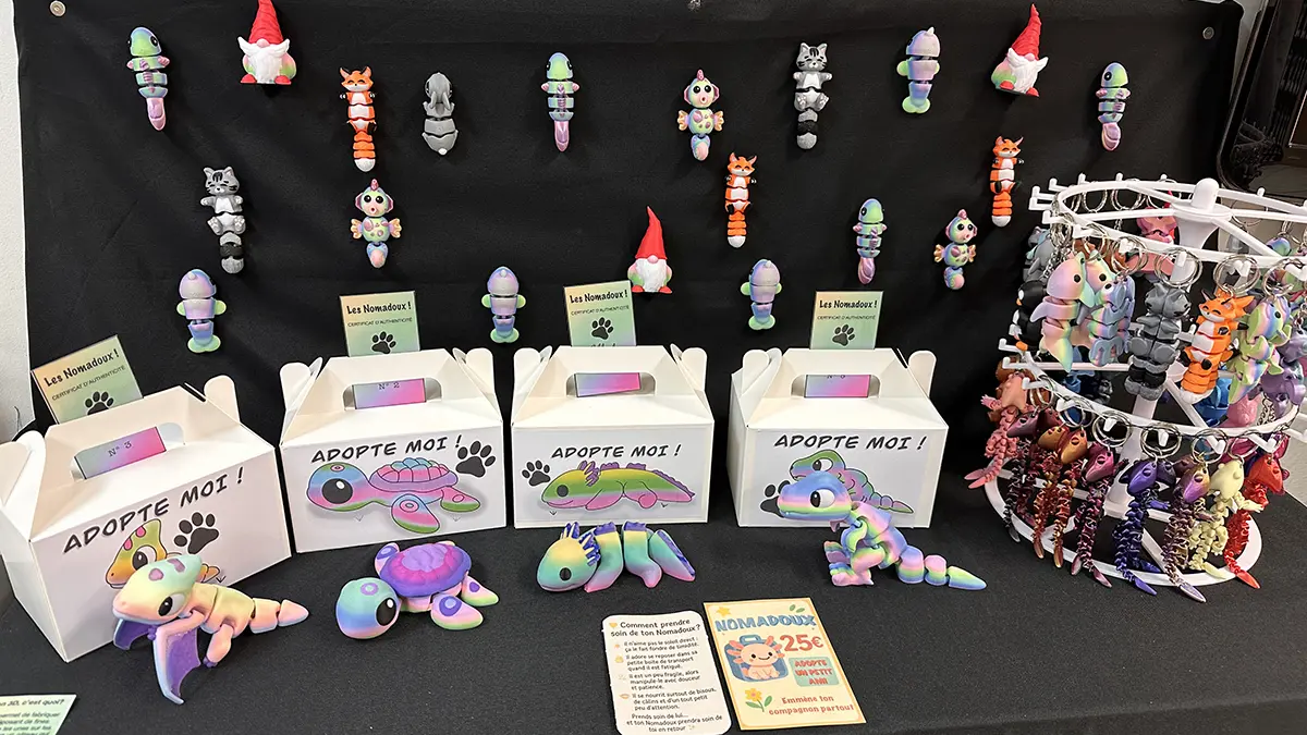 Lazer Création - Pont-l'Abbé - Pays Bigouden - 4