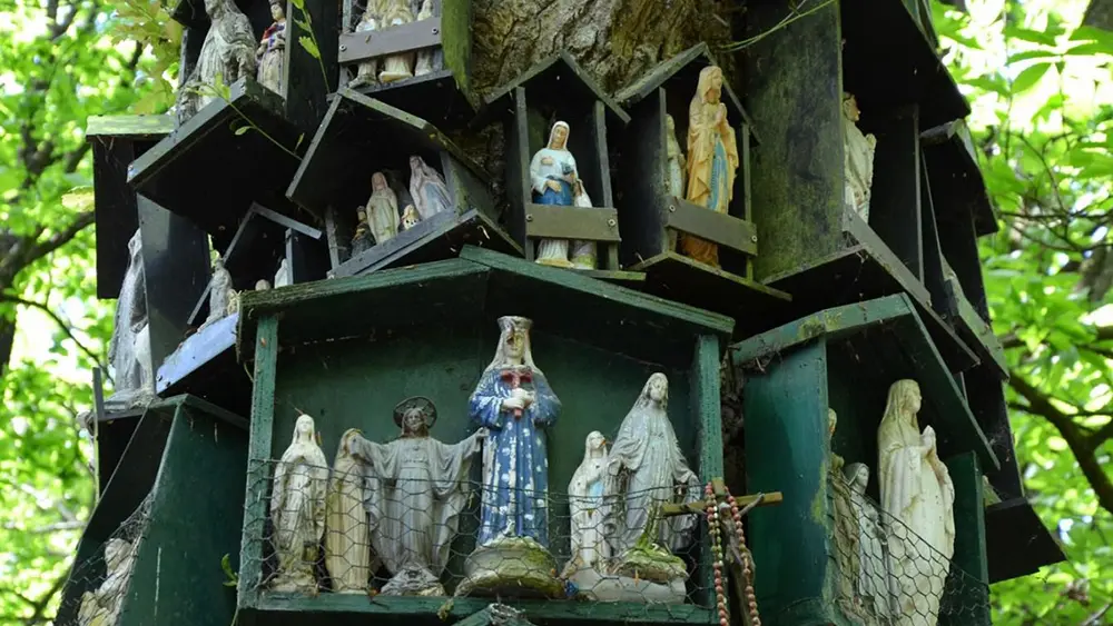 Le Chêne à la Vierge, forêt de La Guerche-de-Bretagne 3