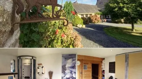 Le Hameau du Vallon - Hirondelles 10