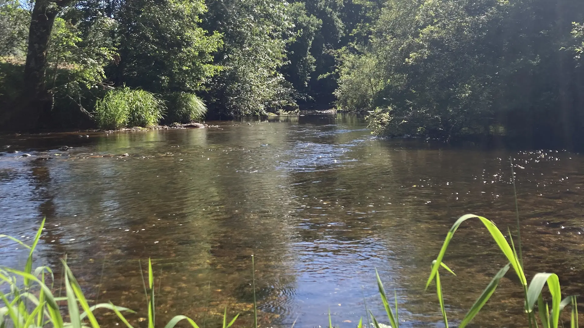 Le Léguer à quelques 10m du Gîte