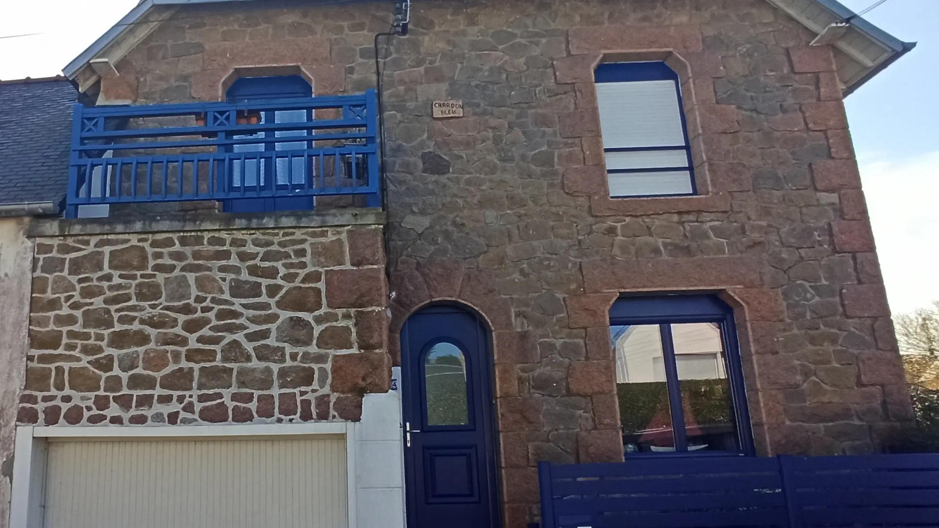 Le chardon bleu recadré