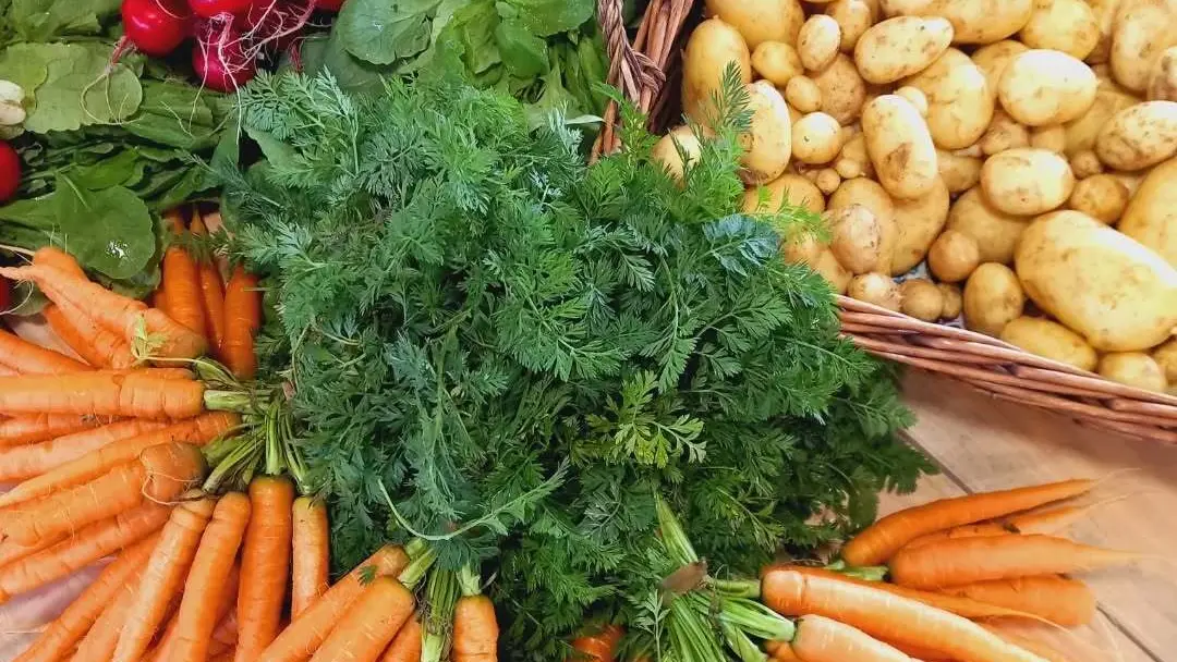 Légumes primeurs à Dolmen & Potager