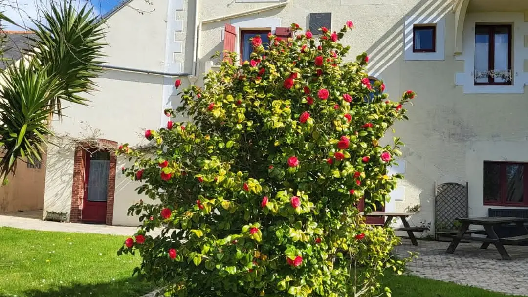 Les Hortensias de Trestel Maison d'hôtes Camélia