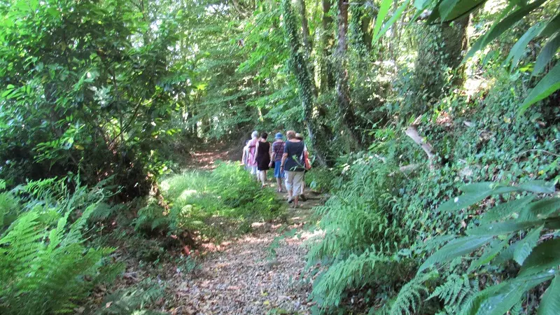 Glace de Pendreo - Plogastel Saint Germain - Pays Bigouden