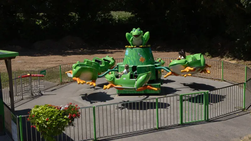 Les grenouilles