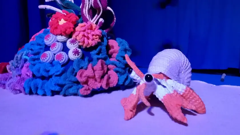 Les péripéties de bernard l'hermite