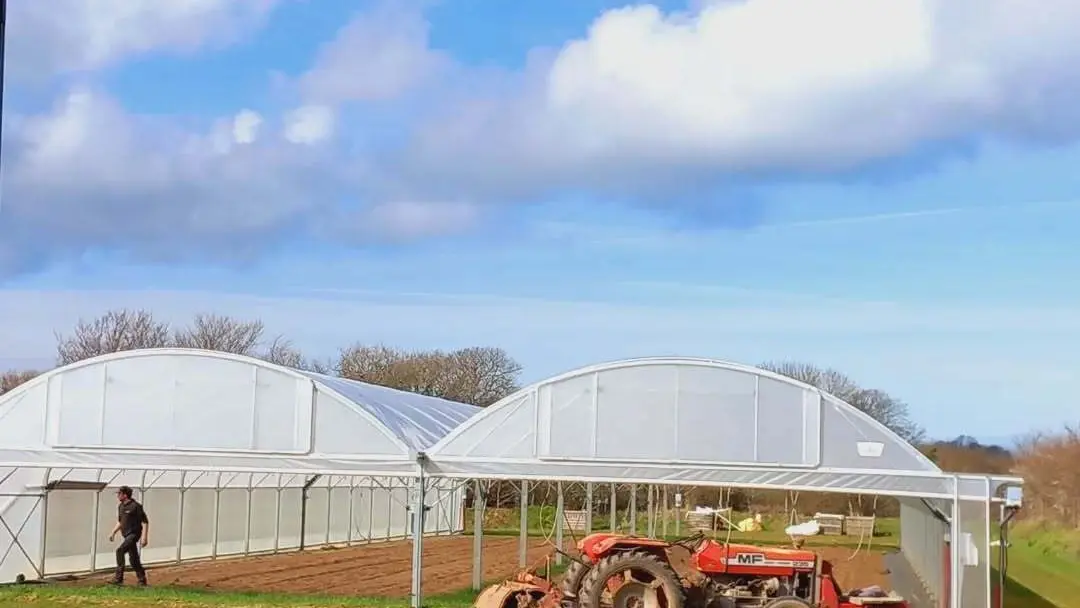 Les tunnels à Dolmen & Potager