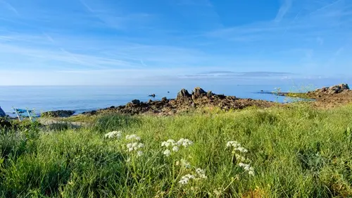 Boucle Autour du Ster - Plobannalec-Lesconil - Pays Bigouden