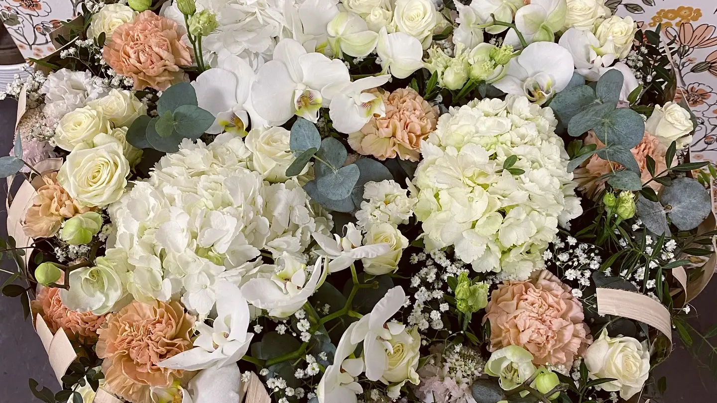 Lilas Bloom Fouesnant