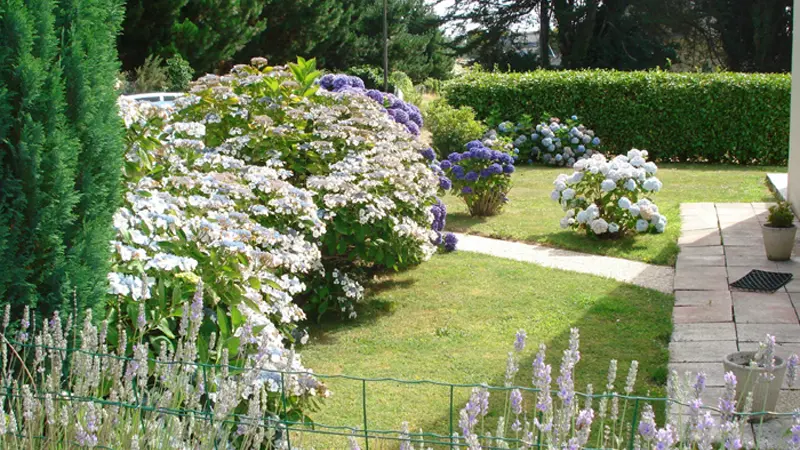 Location-BEBRONNE-Lesconil-Pays Bigouden-Bigoudenjoy8