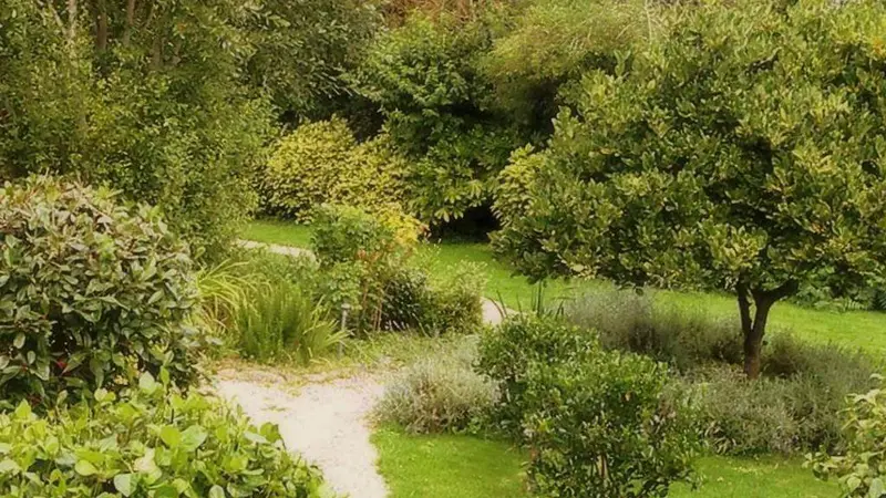 Location Ty Bihan - Plonéour-Lanvern - Pays Bigouden - Bigoudenjoy