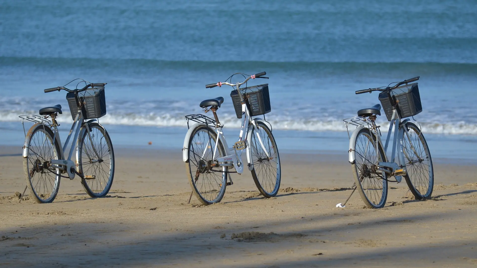 Location velo